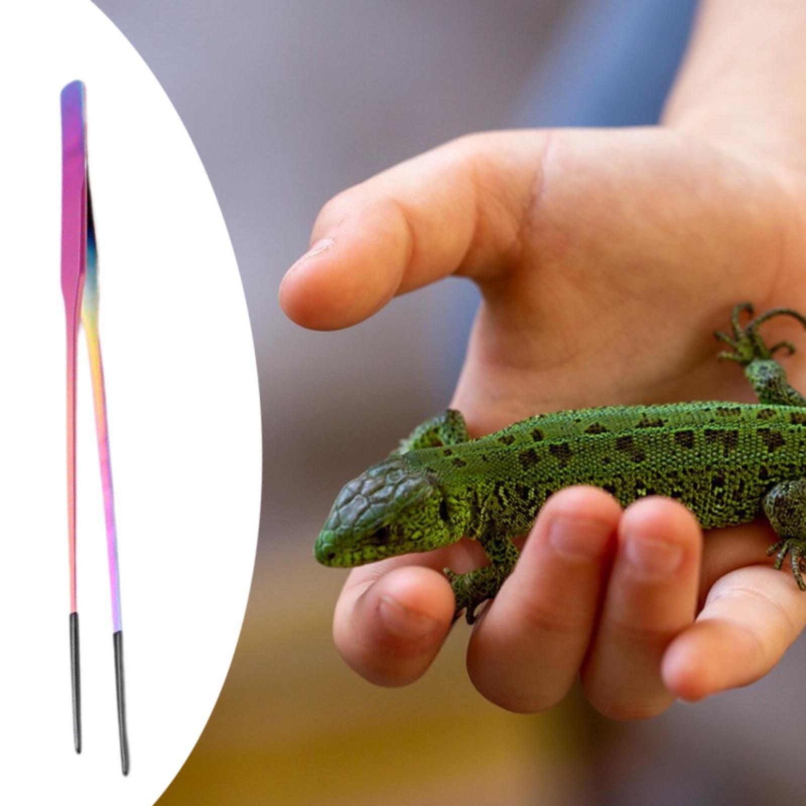 Reptile Feeder Tongs Soft Sili - Feeding Tong Stainless review and price