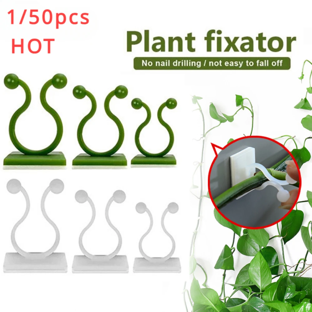 1/30/50Pcs For Garden Accsesor - Vine Climbing Plastic review and price