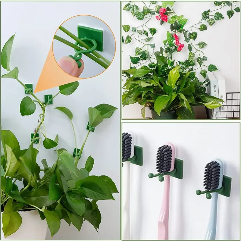 1/30/50Pcs For Garden Accsesor - Vine Climbing Plastic review and price