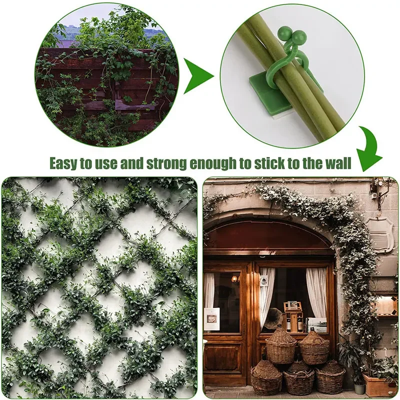 1/30/50Pcs For Garden Accsesor - Vine Climbing Plastic review and price