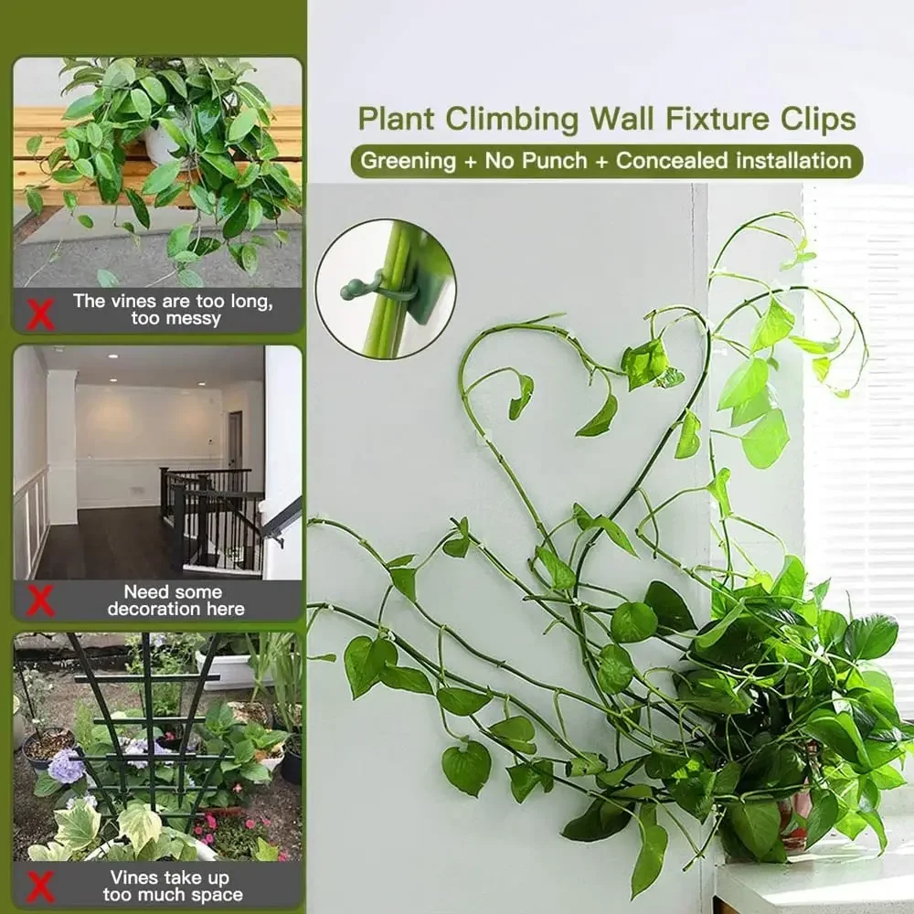 1/30/50Pcs For Garden Accsesor - Vine Climbing Plastic review and price