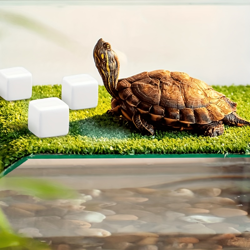6Pcs Fish Tank Calcium Block M - Calcium Powder Reptile review and price