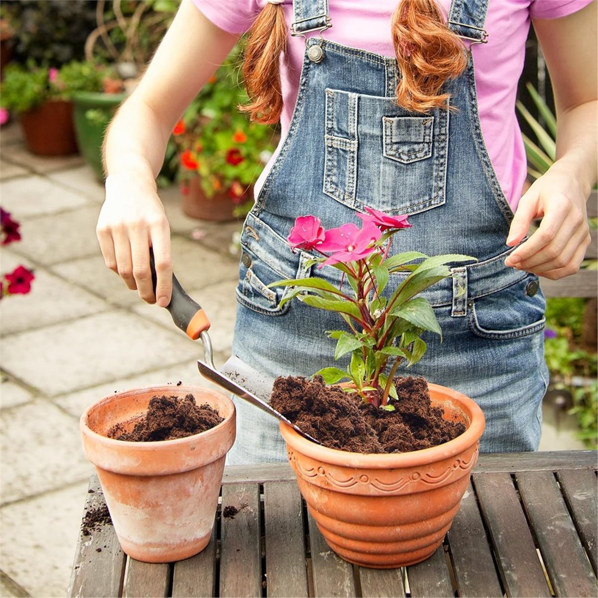 HITL 3 Pack Bricks, for Plants - Substrate Coconut Fiber review and price