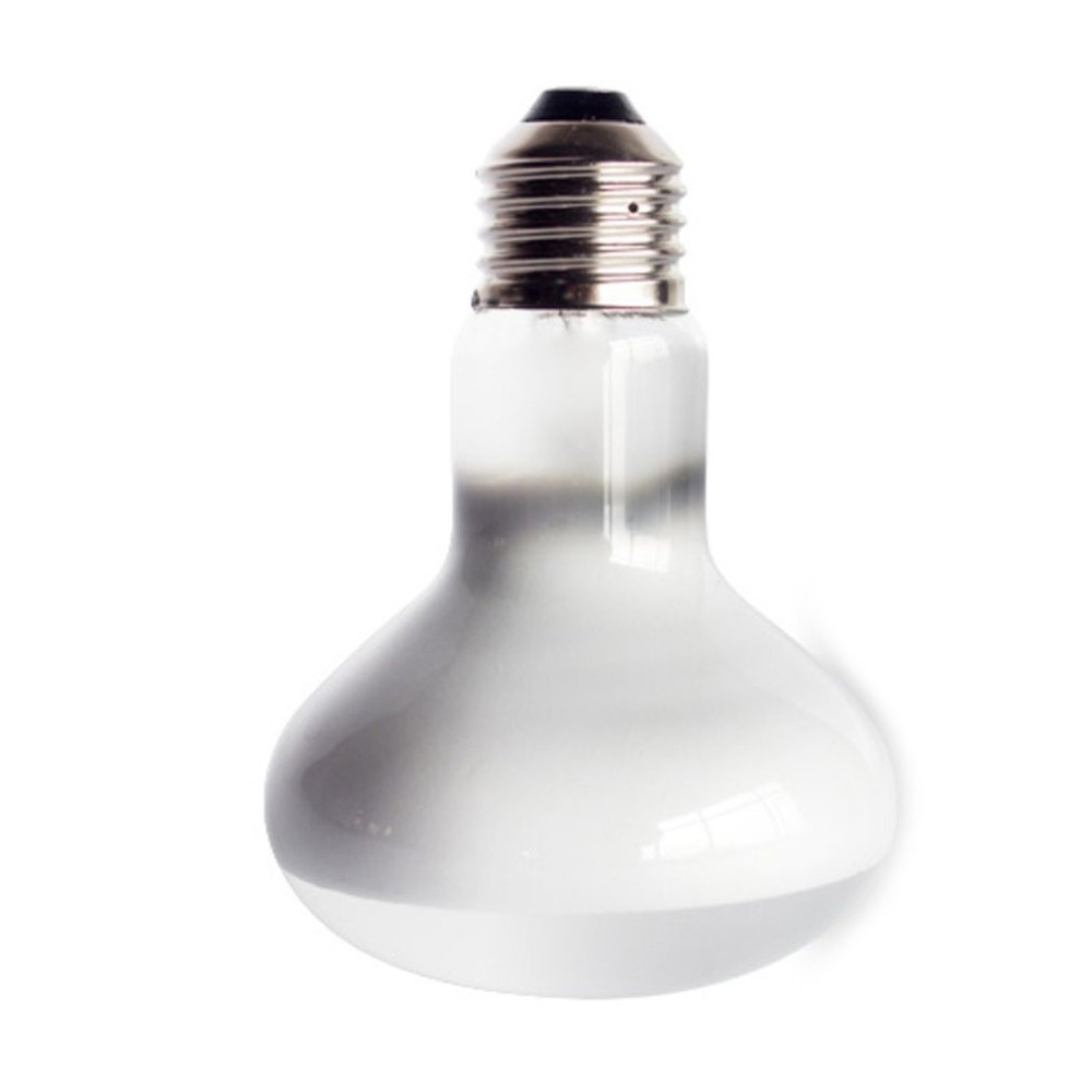 Lizard Heater Temperature Cont - Basking Bulb Halogen review and price