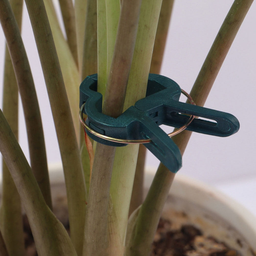 50 Pcs Garden Clips for Plants - Vine Climbing Plastic review and price