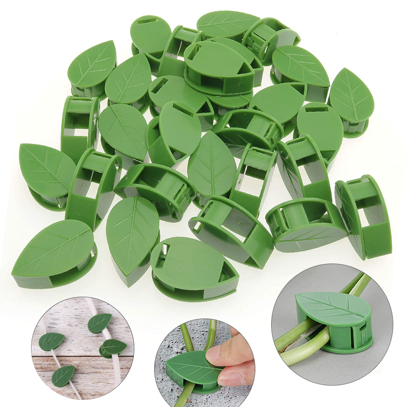 Invisible Plant Climbing Wall  - Vine Climbing Plastic review and price