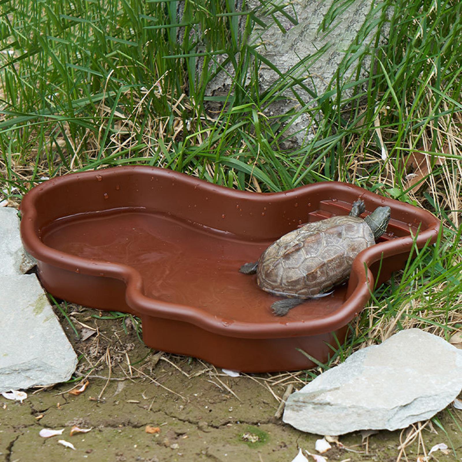 Reptile Bathing Pool Amphibian - Water Dish Reptile review and price