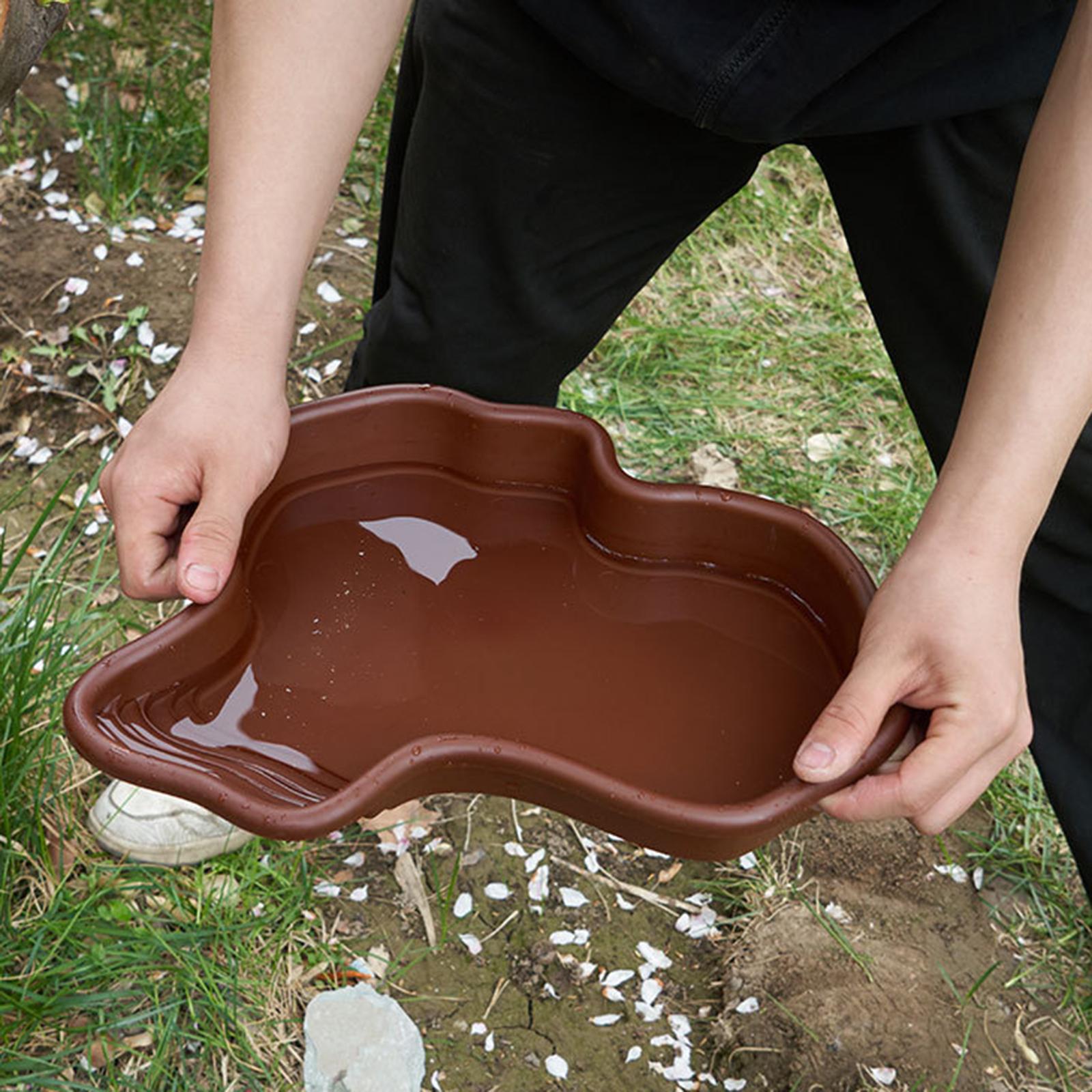 Reptile Bathing Pool Amphibian - Water Dish Reptile review and price