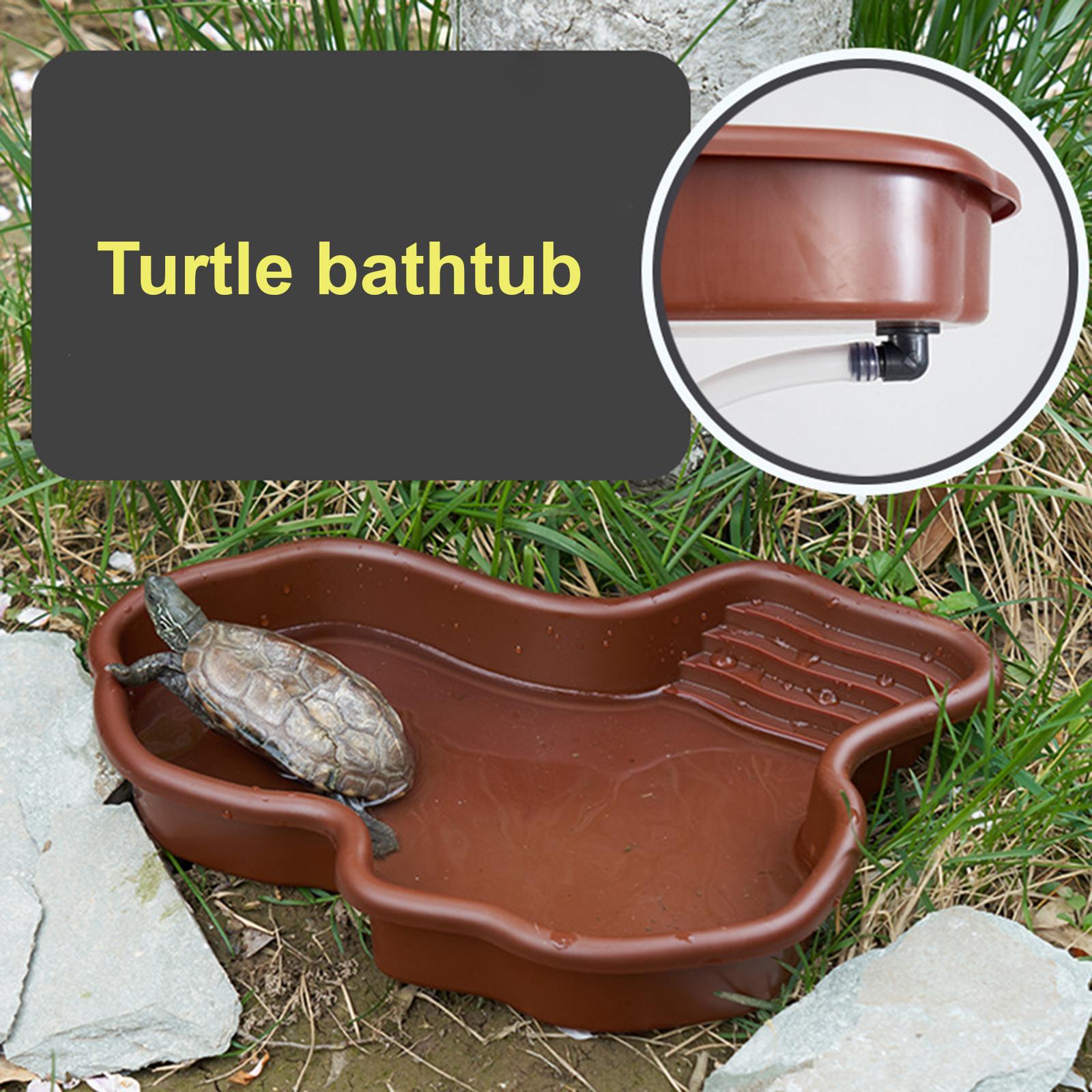 Reptile Bathing Pool Amphibian - Water Dish Reptile review and price