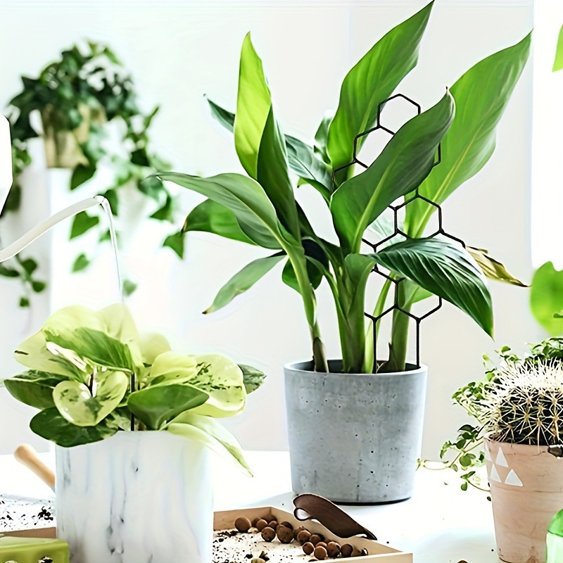 1PC Honeycomb Design Plant Tre - Vine Climbing Plastic review and price