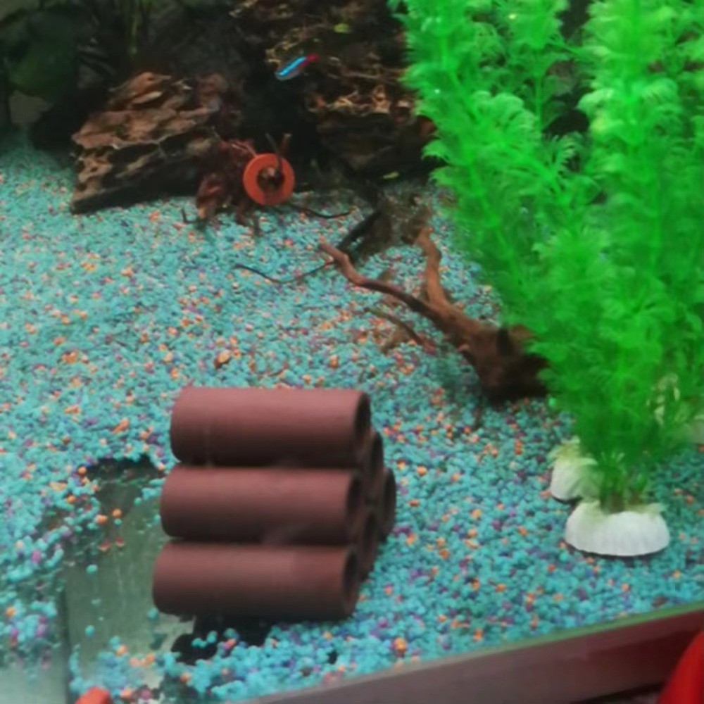 Playing Breeding Spawning Aqua - Hide Cave Ceramic review and price