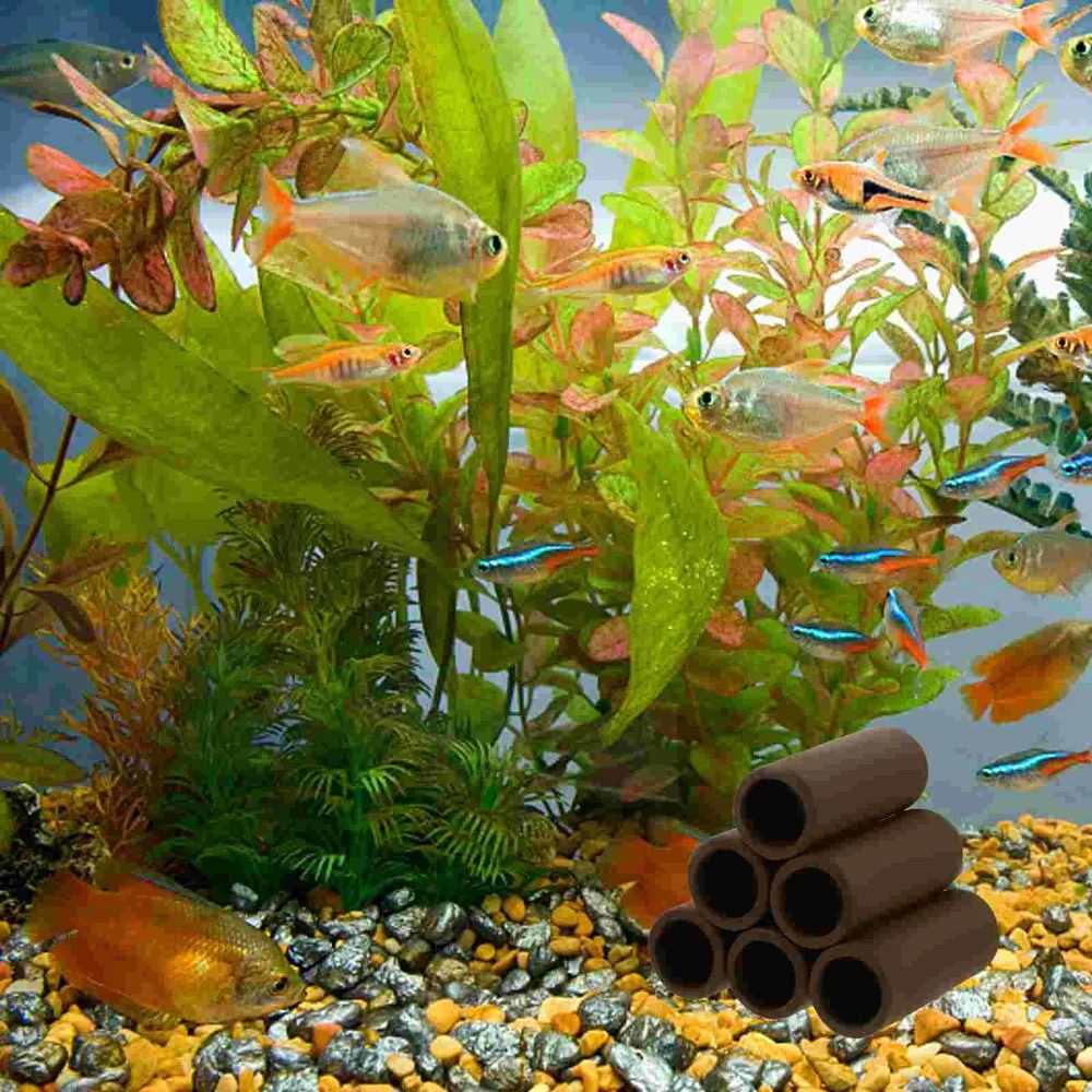 Playing Breeding Spawning Aqua - Hide Cave Ceramic review and price
