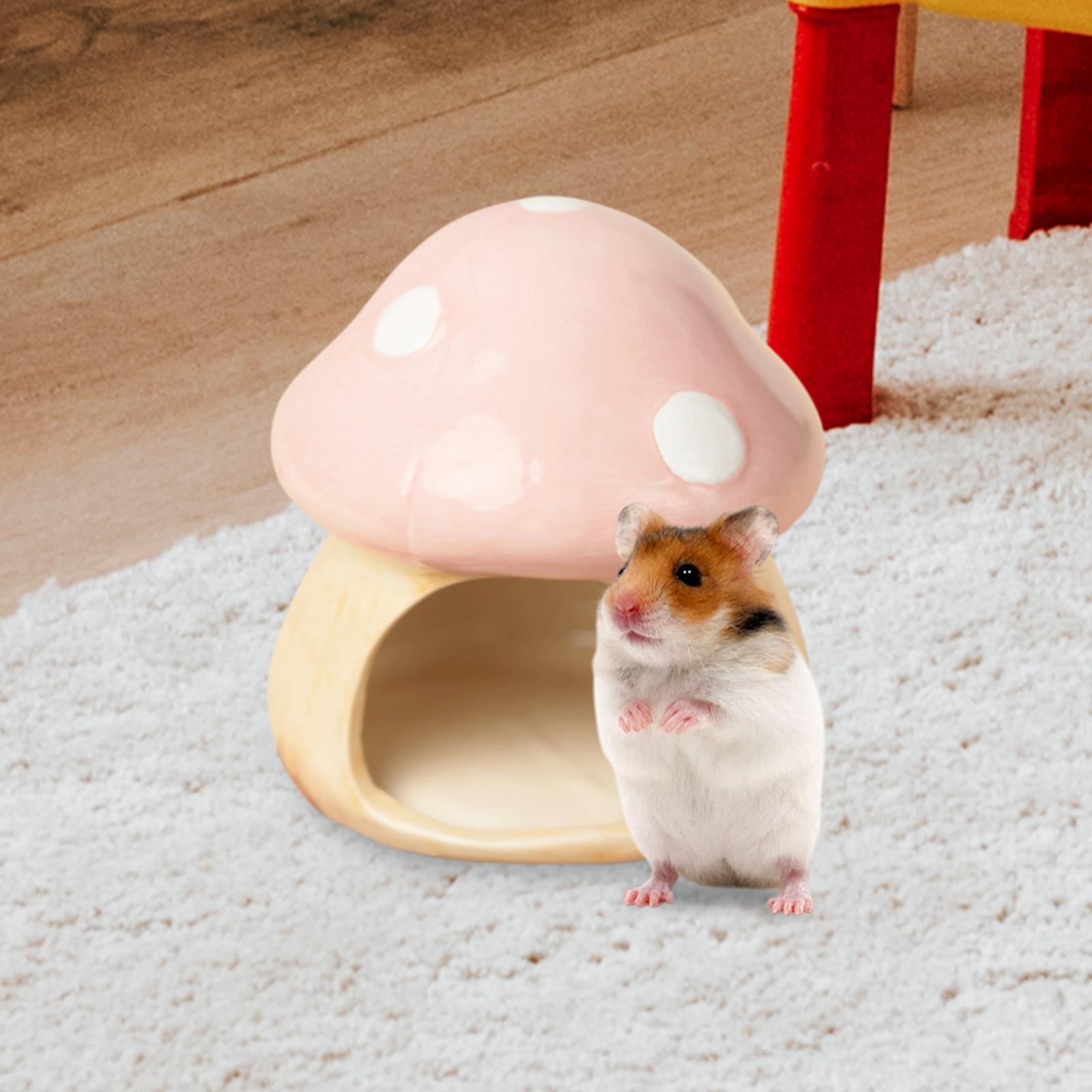 Ceramic Mushroom Hamster Hideo - Hide Cave Ceramic review and price