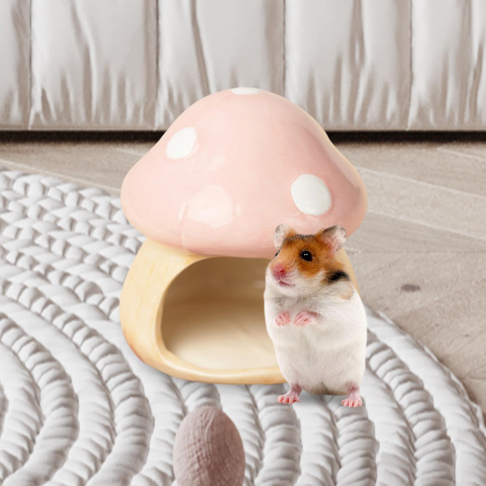 Ceramic Mushroom Hamster Hideo - Hide Cave Ceramic review and price