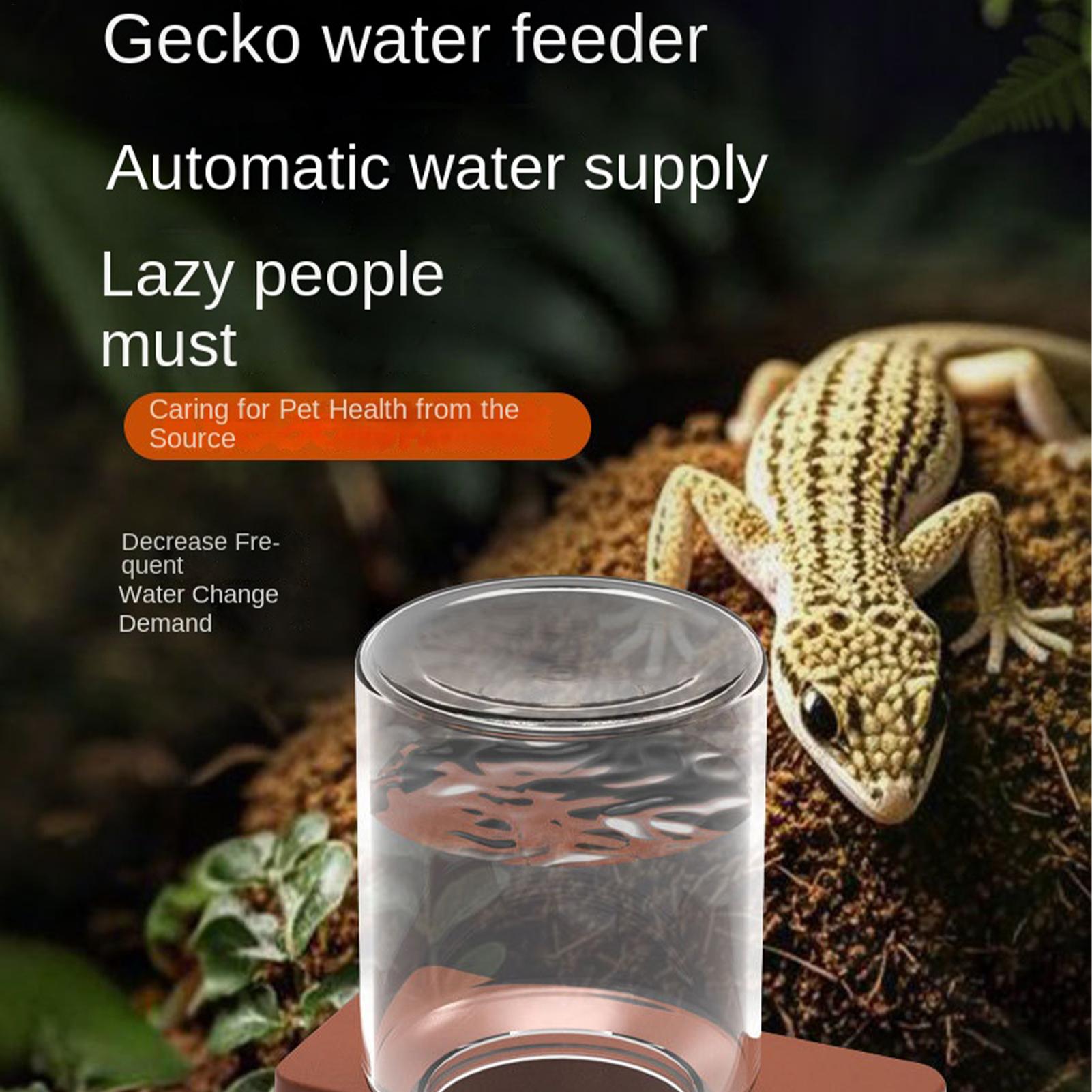 1pc Automatic Reptile Feeder A - Water Dish Reptile review and price